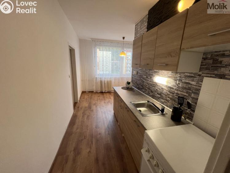 Prodej bytu 2+1 Krupka, Karla Čapka 258 č. 3