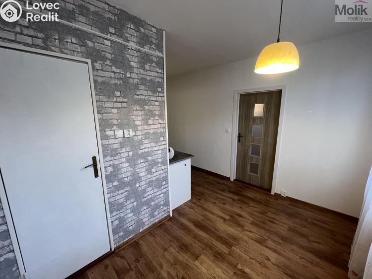 Prodej bytu 2+1 Krupka, Karla Čapka 258 č. 9