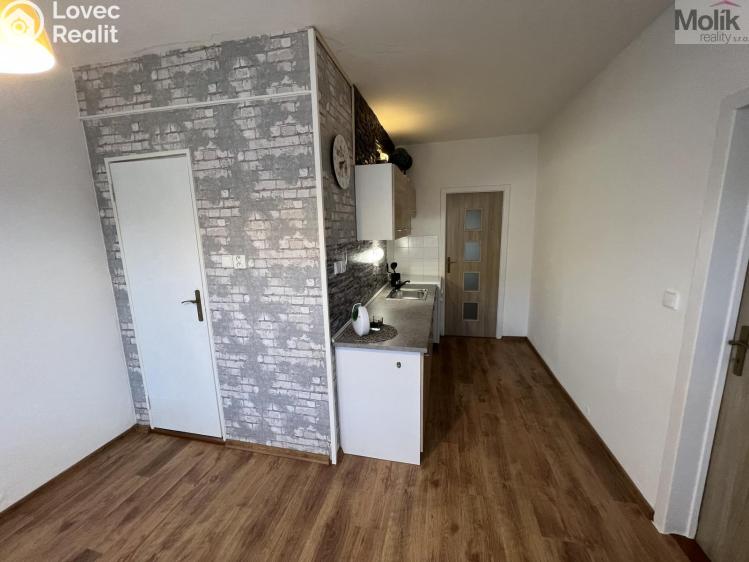 Prodej bytu 2+1 Krupka, Karla Čapka 258 č. 10