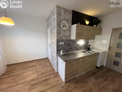 Prodej bytu 2+1 Krupka, Karla Čapka 258 č. 2