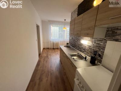 Prodej bytu 2+1 Krupka, Karla Čapka 258 č. 3