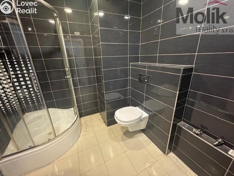 Rent apartment 2+KK Most, Jana Kubelíka č. 10