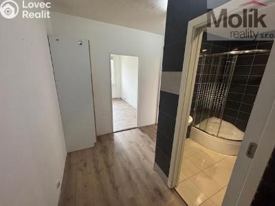 Rent apartment 2+KK Most, Jana Kubelíka č. 6