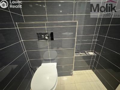 Rent apartment 2+KK Most, Jana Kubelíka č. 11