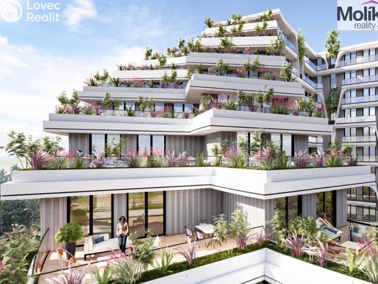 Prodej bytu 2+KK Golem č. 2