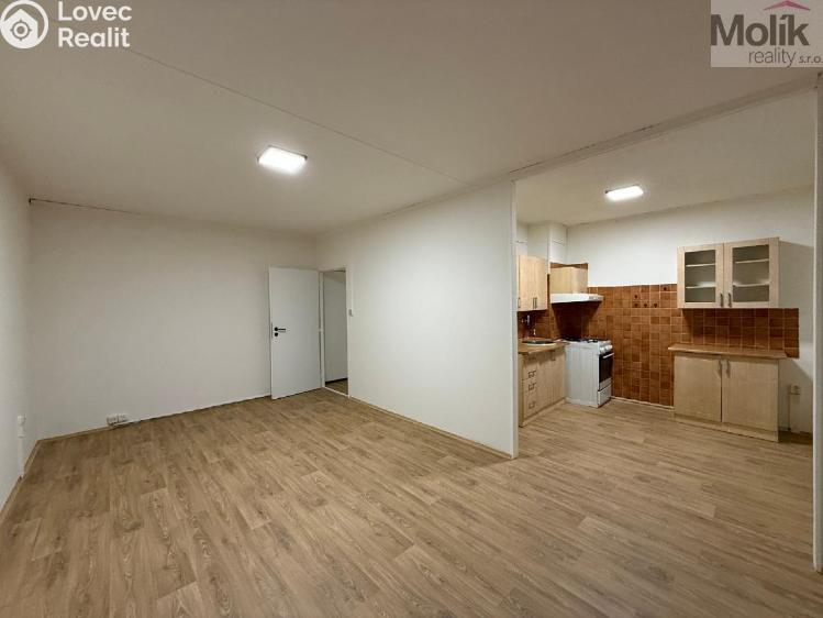 Rent apartment 2+1 Most, Josefa Suka č. 2