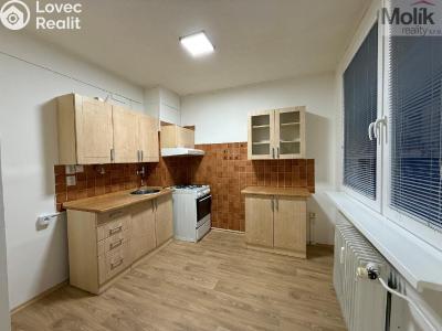 Rent apartment 2+1 Most, Josefa Suka č. 1