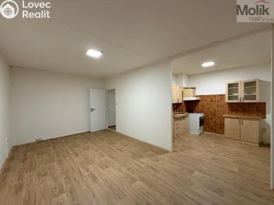 Rent apartment 2+1 Most, Josefa Suka č. 2