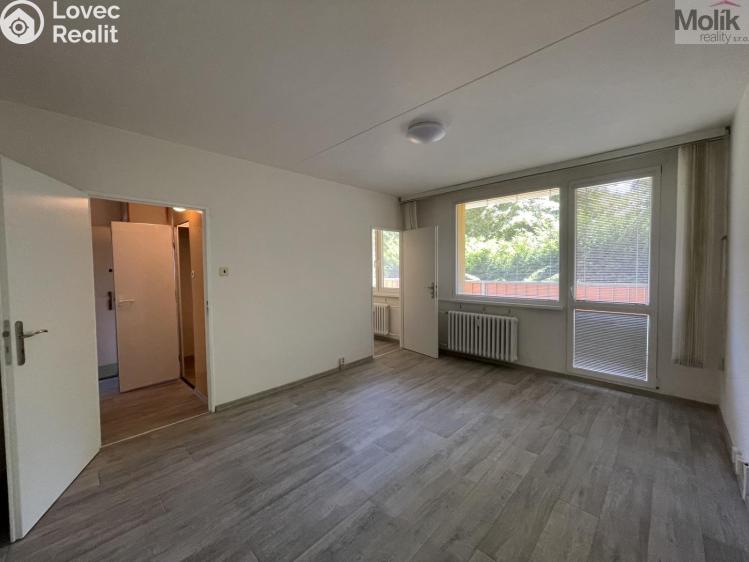 Rent apartment 1+KK Bílina, Alšova č. 2