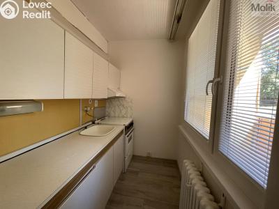 Rent apartment 1+KK Bílina, Alšova č. 1