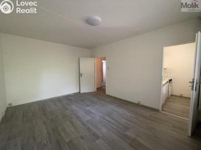 Rent apartment 1+KK Bílina, Alšova č. 3