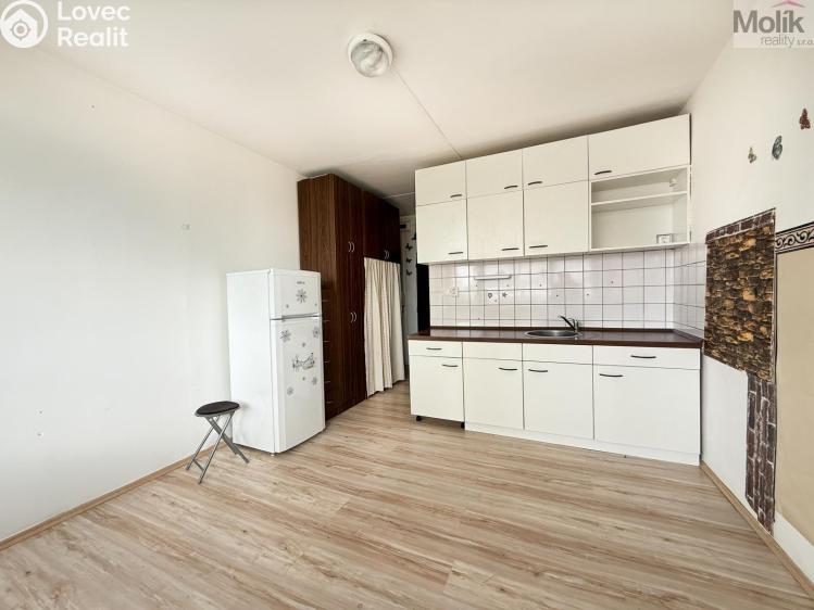 Rent apartment 1+KK Most, U Věžových domů č. 3