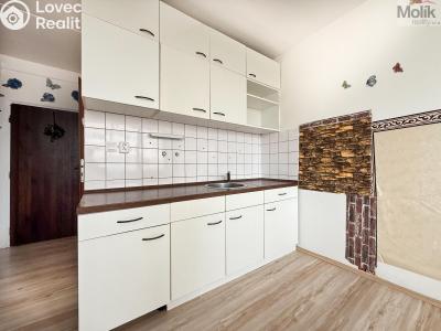 Rent apartment 1+KK Most, U Věžových domů č. 2