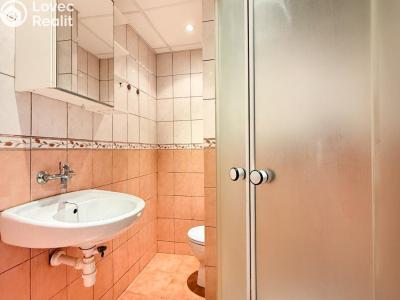 Rent apartment 1+KK Most, U Věžových domů č. 5