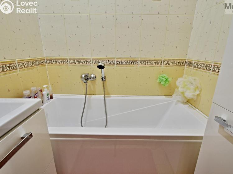 Rent apartment 2+1 Most, Zdeňka Fibicha č. 7