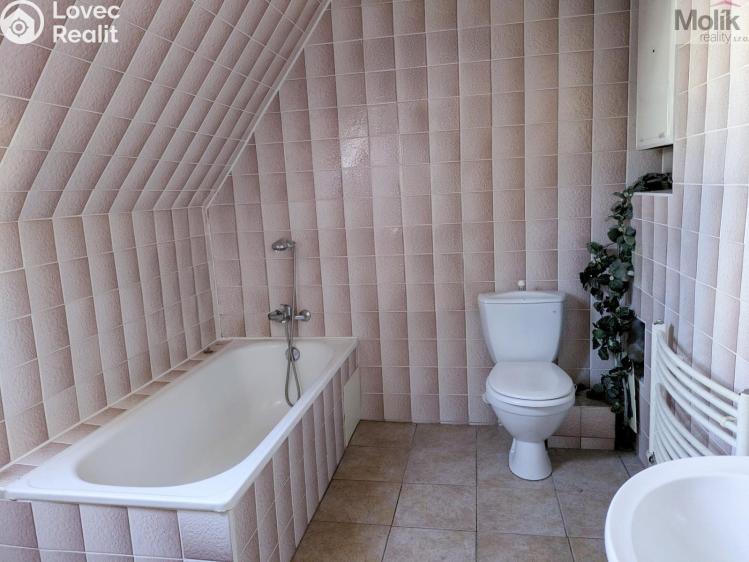 Prodej bytu 2+1 Litvínov, Podkrušnohorská 1194 č. 10