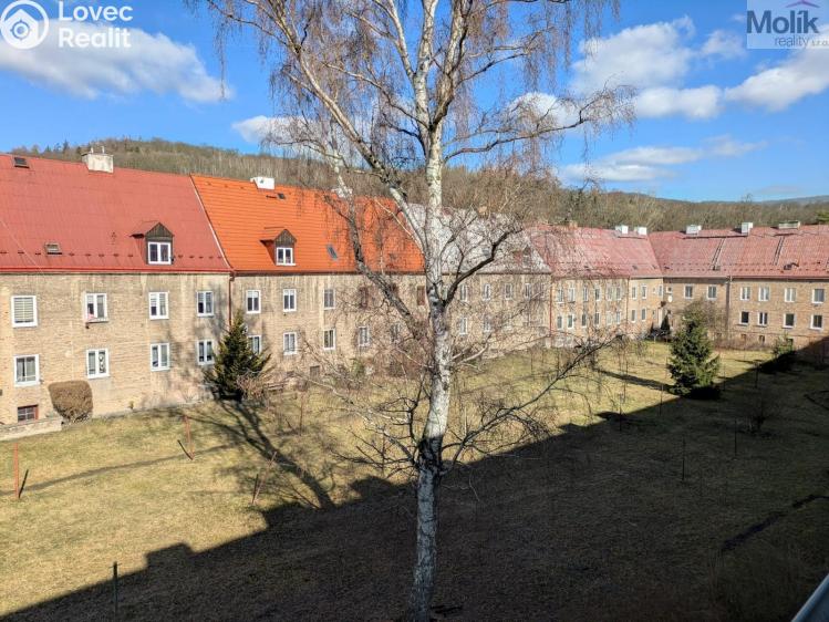 Prodej bytu 2+1 Litvínov, Podkrušnohorská 1194 č. 15