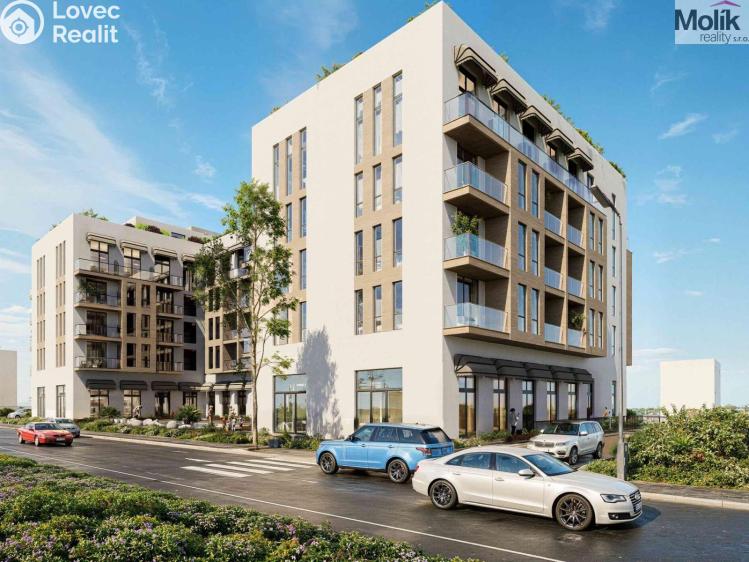 Prodej bytu 1+KK Golem č. 4