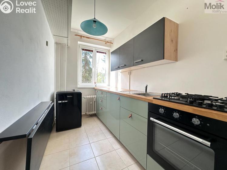 Rent apartment 1+1 Ústí nad Labem, Tolstého č. 2