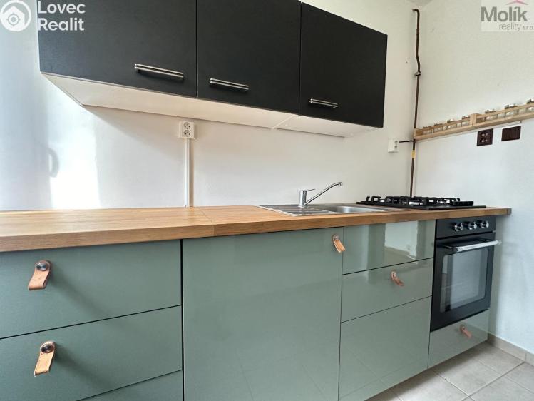 Rent apartment 1+1 Ústí nad Labem, Tolstého č. 5