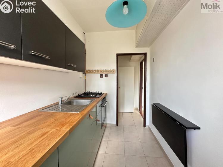 Rent apartment 1+1 Ústí nad Labem, Tolstého č. 6