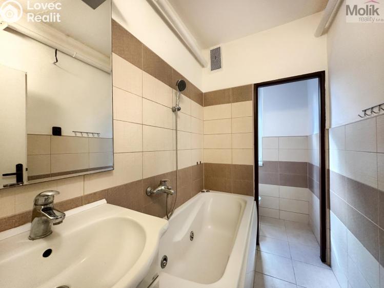 Rent apartment 1+1 Ústí nad Labem, Tolstého č. 7