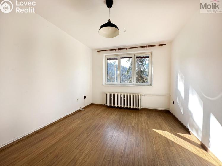 Rent apartment 1+1 Ústí nad Labem, Tolstého č. 11