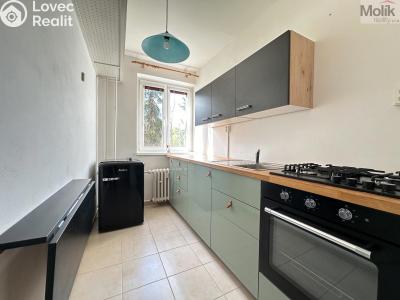 Rent apartment 1+1 Ústí nad Labem, Tolstého č. 2