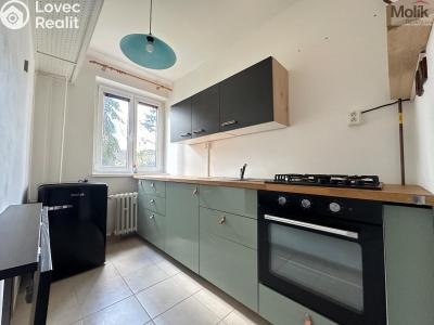 Rent apartment 1+1 Ústí nad Labem, Tolstého č. 4