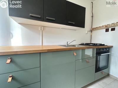 Rent apartment 1+1 Ústí nad Labem, Tolstého č. 5