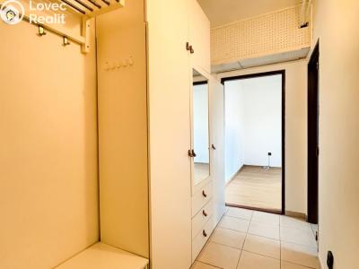 Rent apartment 1+1 Ústí nad Labem, Tolstého č. 12