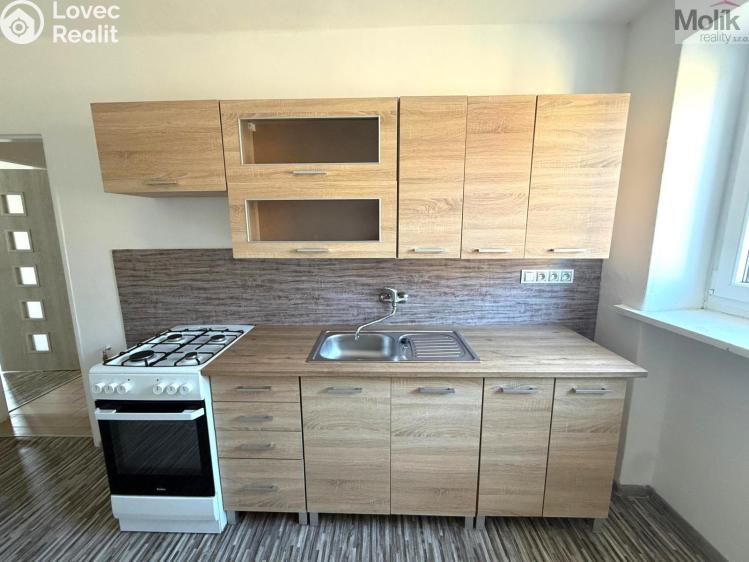 Rent apartment 2+1 Most, Konstantina Biebla č. 1