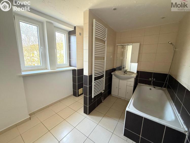 Rent apartment 2+1 Most, Konstantina Biebla č. 8