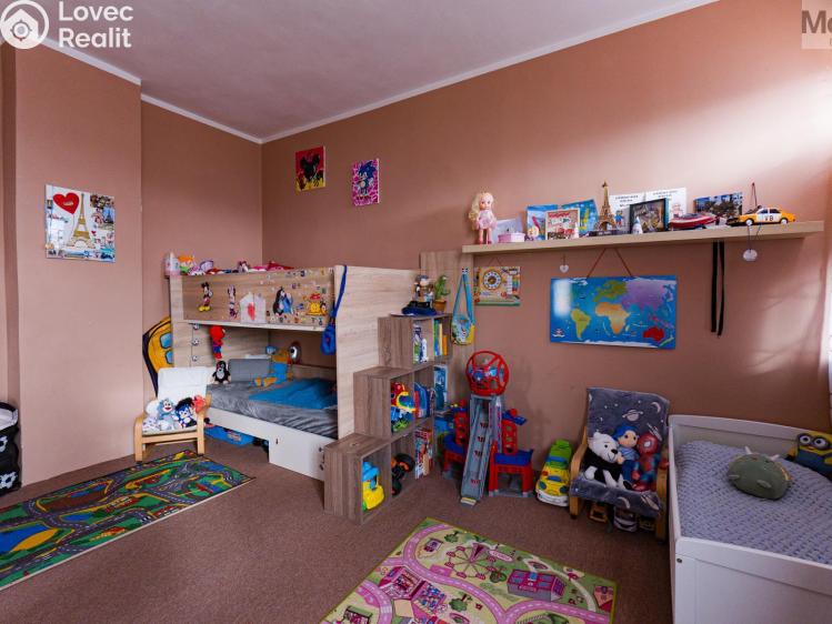 Sale multi-gen house Luby, Chebská č. 6