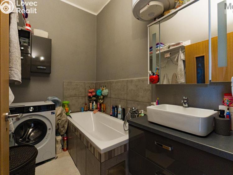 Sale multi-gen house Luby, Chebská č. 11