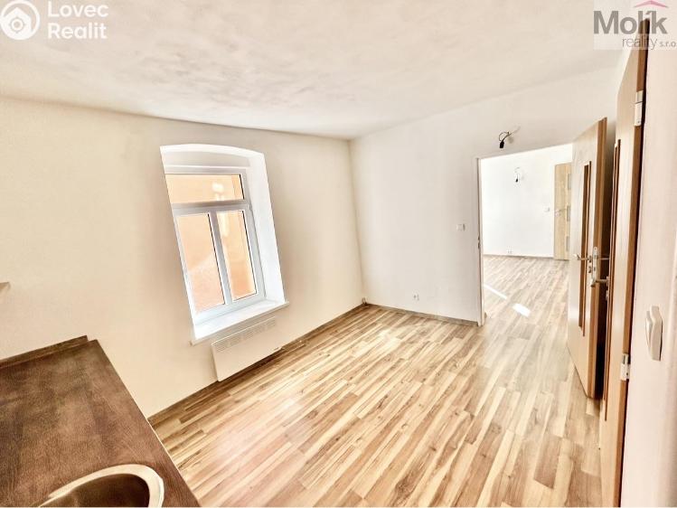 Sale multi-gen house Luby, Chebská č. 14