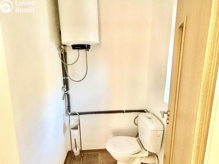 Sale multi-gen house Luby, Chebská č. 18