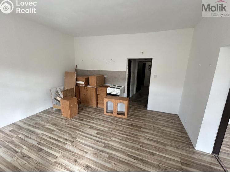 Sale multi-gen house Luby, Chebská č. 23