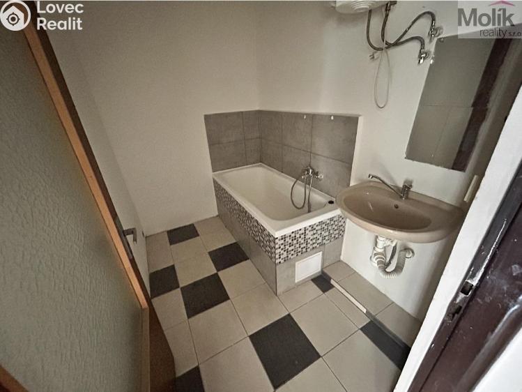 Sale multi-gen house Luby, Chebská č. 28