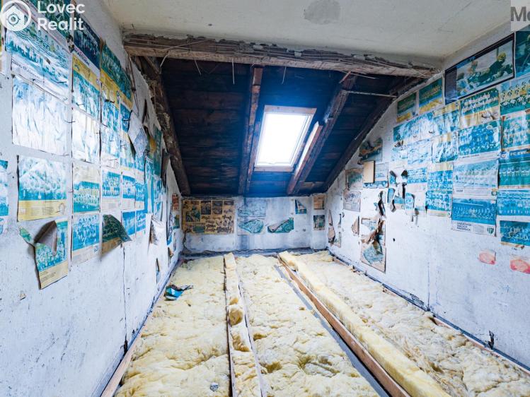 Sale multi-gen house Luby, Chebská č. 34