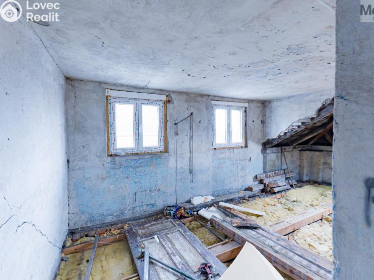 Sale multi-gen house Luby, Chebská č. 36