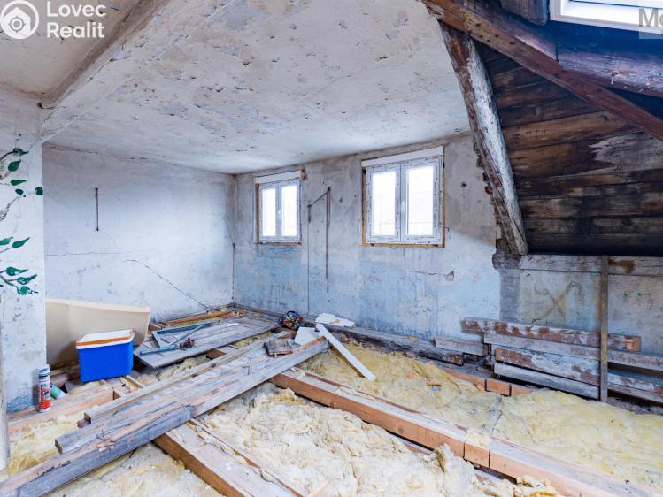 Sale multi-gen house Luby, Chebská č. 37