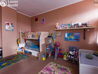 Sale multi-gen house Luby, Chebská č. 6