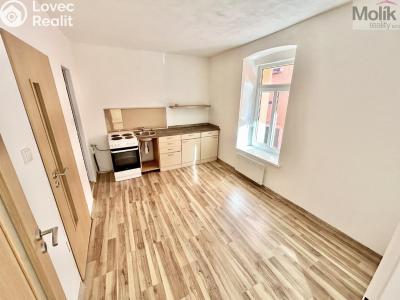 Prodej vícegeneračního domu Luby, Chebská č. 13