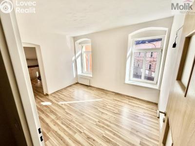 Prodej vícegeneračního domu Luby, Chebská č. 15