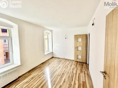 Prodej vícegeneračního domu Luby, Chebská č. 16