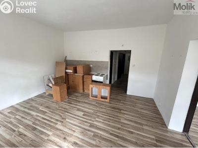 Prodej vícegeneračního domu Luby, Chebská č. 23