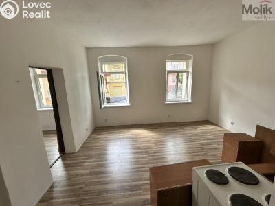 Prodej vícegeneračního domu Luby, Chebská č. 24