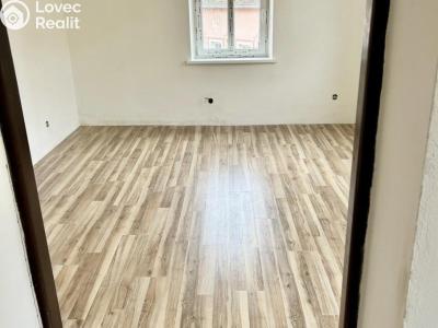 Prodej vícegeneračního domu Luby, Chebská č. 25
