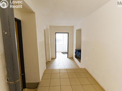 Prodej vícegeneračního domu Luby, Chebská č. 31